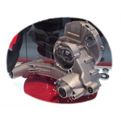 Cárter Motor Malossi VR-ONE