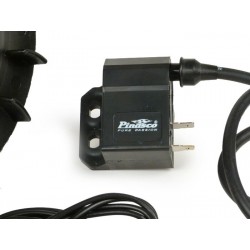 Encendido Flytech PINASCO 1,8 Kg con arranque eléctrico, Cono 20, Vespa PX Disco, DN, IRIS, TX, COSA