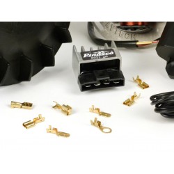 Encendido Flytech PINASCO 1,6 Kg, Cono 20, Vespa PX Disco, DN, IRIS, TX, COSA