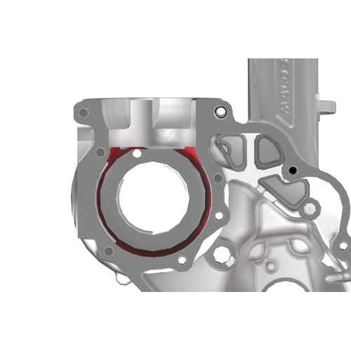 Cárter Motor Malossi VR-ONE Láminas Vespa