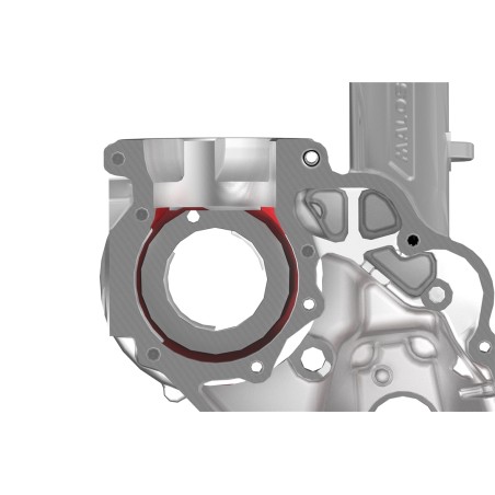 Cárter Motor Malossi VR-ONE Láminas Vespa