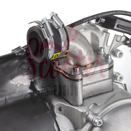 Motor 244cc SIP VR-One 30CV