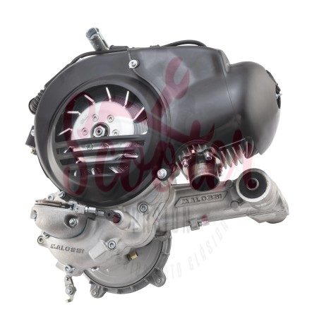 Motor 244cc SIP VR-One 30CV