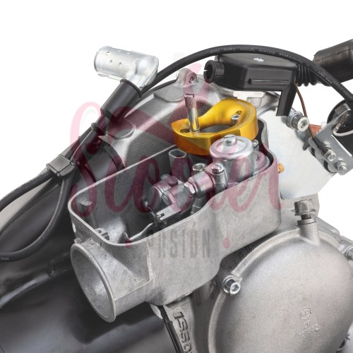 Motor 244cc SIP VR-One 30CV