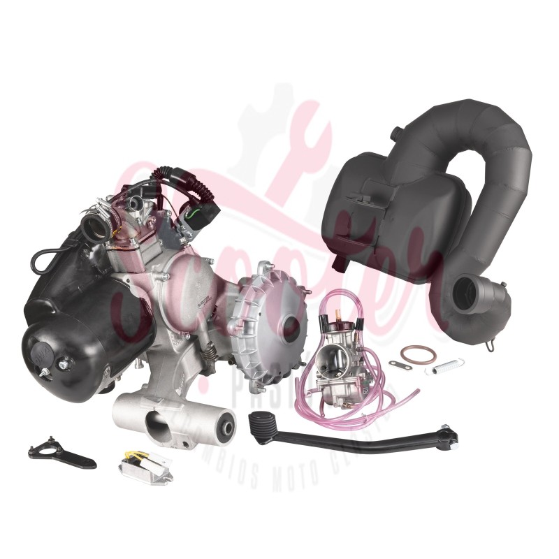 Motor 244cc SIP VR-One 30CV