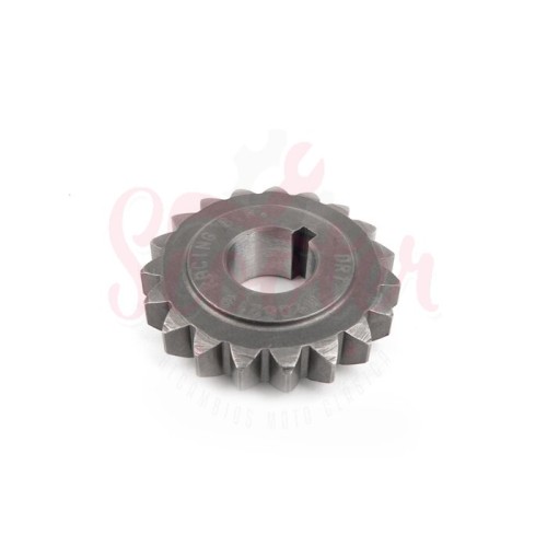 Piñón Campana Embrague DRT 19 Dientes Rectos Para Campana Embrague 60 Dientes Cobra Vespa Super, SL, Primavera, PKS, PK XL, FL