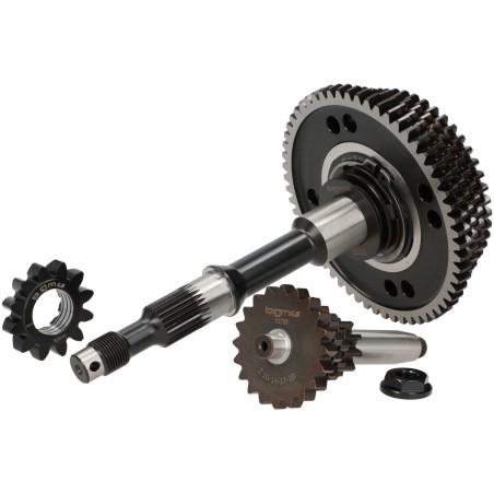 Eje Rueda Trasera con piñones Caja de Cambio Completa BGM PRO SPORT 1ª, 2ª, 3ª y 4ª Velocidad 58-54-50-46 Vespa PKS, PK XL, FL