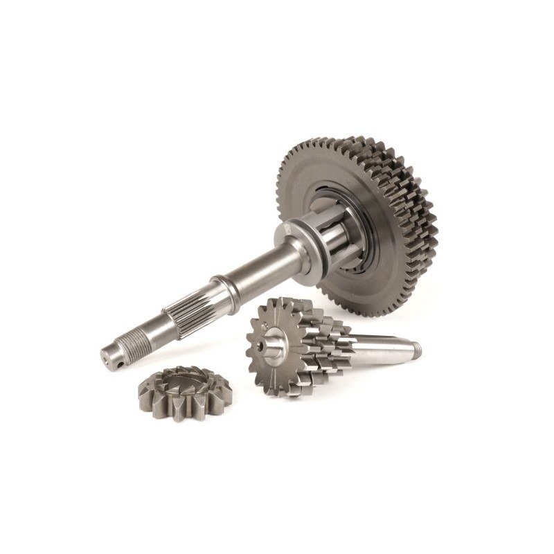 Eje Rueda Trasera Caja de Cambio Completa BENELLI BULL Desarrollo Transmisión Velocidad 12-58, 13-42, 15-38, 17-37 Vespa