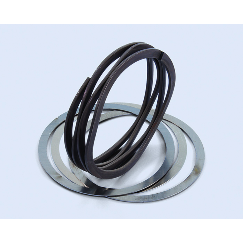 Muelle Embrague POLINI Wave Soft para Embrague POLINI For Race HT Clutch Vespa PX Disco, DS, DN, IRIS, TX, T5