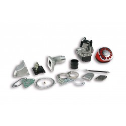 Carburador Malossi PHBL 25 B Láminas Para Cilindro MHR 136cc Vespa Primavera, Super, SL