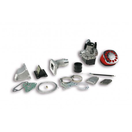 Carburador Malossi PHBL 25 B Láminas Para Cilindro MHR 136cc Vespa Primavera, Super, SL
