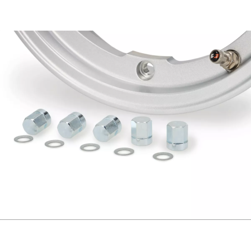 Llanta Plata Tubeless BGM PRO SUPERSTRONG Vespa 10" Llanta Plata Tubeless BGM PRO SUPERSTRONG Vespa 10"