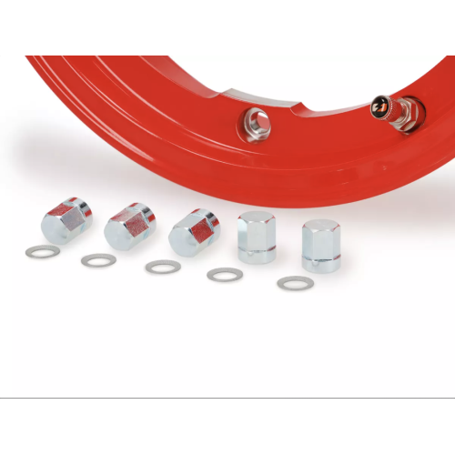 Llanta Roja Tubeless BGM PRO SUPERSTRONG Vespa 10"