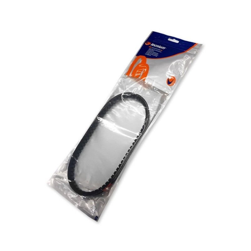 Correa Vespino AL, SC, ALX, GL Dentada