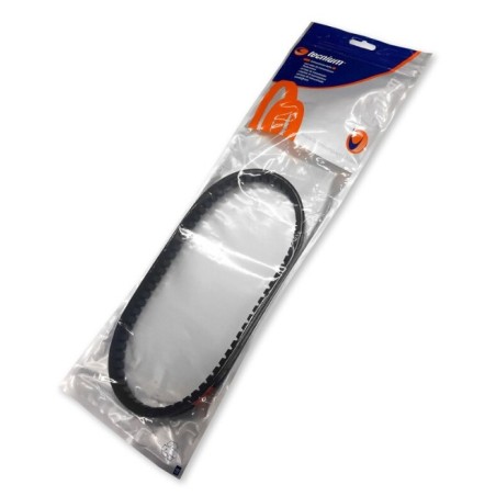 Correa Vespino AL, SC, ALX, GL Dentada