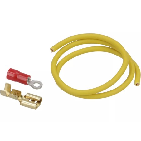 Ruptor Encendido Electrónico 6V PINASCO para Vespa