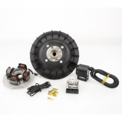 Encendido Flytech PINASCO 0,9 Kg, Cono 20, Vespa PX Disco, DN, IRIS, TX, COSA