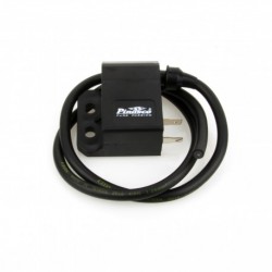 Bobina CDI Variable Pinasco Flytech