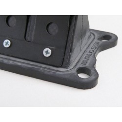 Caja de láminas carbono MALOSSI MHR VL17