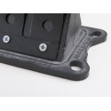 Caja de láminas carbono MALOSSI MHR VL17