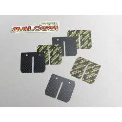 Láminas carbono Malossi MHR réplica, Vespa Largeframe, Smallframe, Minarelli AM6 (0.3,0.35,0.4mm)
