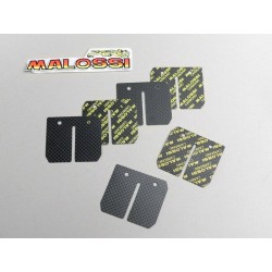 Láminas carbono Malossi MHR